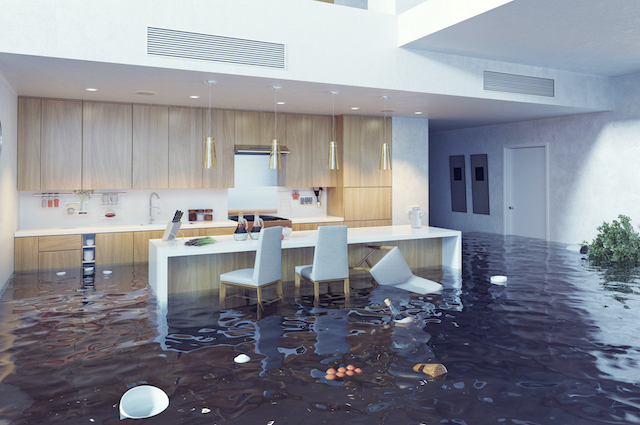 WATER DAMAGE AND DRYING